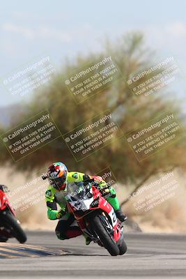 media/Oct-13-2025-Moto Forza (Mon) [[a66d839500]]/3-B Group/Session 4 Turn 4 Tree of Life/